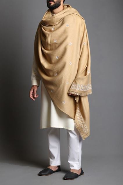 Picture of Embroidered Motif Pashmina Shawl