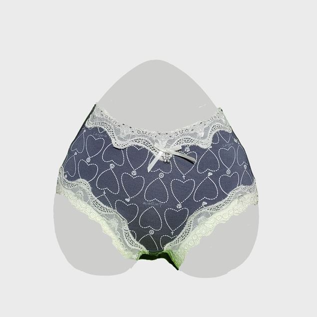 Picture of Stylish Lace Brief Penty